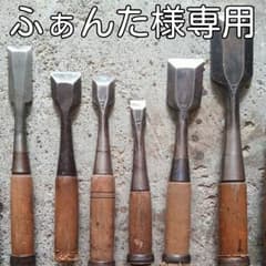 ノミのサムネイル