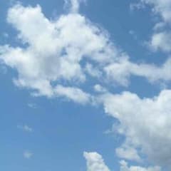 いけかず様専用のサムネイル