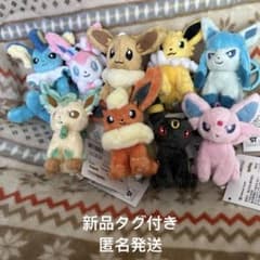 ポケモン　カラビナ付きマスコット　ブイズ　まとめ　セット タグ付き ポケモンセンター カラビナ付きマスコット ぬいぐるみ ブイズ