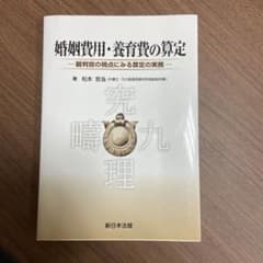 婚姻費用・養育費の算定 裁判官の視点にみる算定の実務のサムネイル