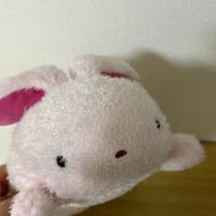 - Yahoo!オークション まつもと　ぬいぐるみ　うさぎ フリッカ　frica フリッカ 兎 まつもと ぬいぐるみ ウサギ うさぎ ぬいぐるみ