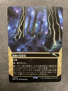 墨蛾の生息地 ボーダレス MTGのサムネイル