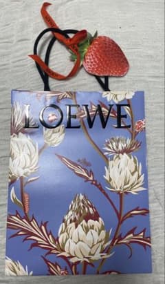 LOEWE 2026春限定 ショッパー ロエベ ショップ袋 紙袋 - メルカリ