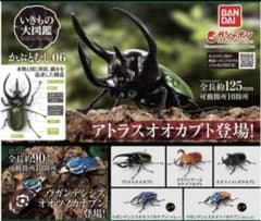いきもの大図鑑 昆虫 アトラスオオカブト ガチャのサムネイル