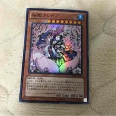桜姫タレイアのサムネイル
