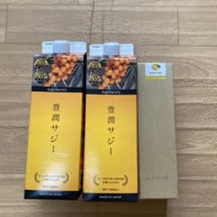 フィネス 豊潤サジー【賞味期限2024.3.1】ゆずみつセットのサムネイル