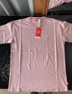 2026年春夏新作 DIESEL Tシャツ ピンク ピッグロゴ 新品 - メルカリ