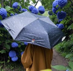 신작!이웃집 토토로 하루우 겸용 접는 우산 빗방울 모양 네이비, 신품 미사용!
