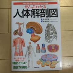 ぜんぶわかる人体解剖図 系統別・部位別にわかりやすくビジュアル解説のサムネイル