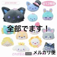 ジェオチャムシークレットブローチコンプリートボックス JOCHUM ブローチ コンプセット JOCHUM シークレットブローチ