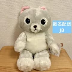 にゃむにゃむにゃ〜 STセット ねこ ぬいぐるみ ≪9月の新商品≫にゃむにゃむにゃー-NEW ITEM！｜アミューズ最新情報