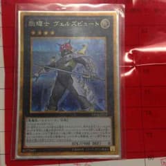 ヴェルズビュート  ゴルシクのサムネイル