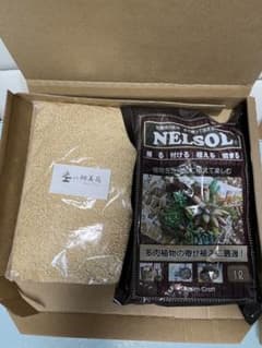 ふみ様専用‼️ 翔美苑鹿沼土細粒と ネルソルのセット お値下げ交渉コメントOKのサムネイル
