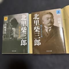 北里柴三郎 雷と呼ばれた男 上下巻セット 山崎光夫 中公文庫のサムネイル