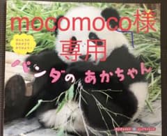 サンチャイルドビッグサイエンスのサムネイル
