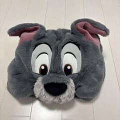 東京ディズニーリゾート ファンキャップのサムネイル