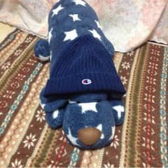 チャンピオン ニット帽 超激安のサムネイル