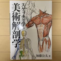 スケッチで学ぶ美術解剖学のサムネイル