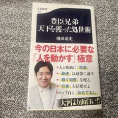 豊臣兄弟　天下を獲った処世術のサムネイル