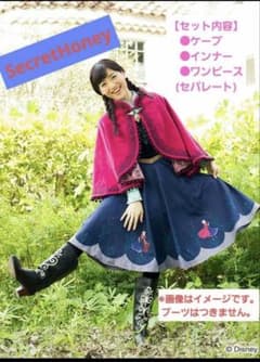 シークレットハニー アナと雪の女王 アナ 雪山 ワンピース セパレート