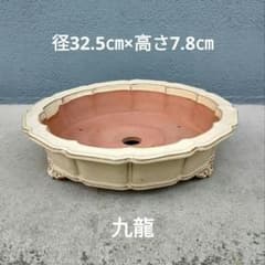 九龍 盆栽鉢 中国鉢 雲足 - メルカリ