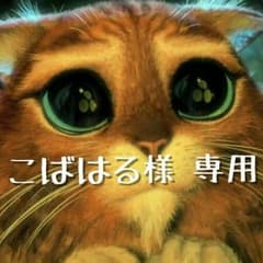 こばはる様専用です。のサムネイル