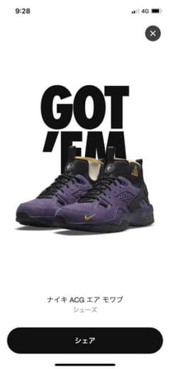 ナイキ　ACG エア　モアブ　27のサムネイル
