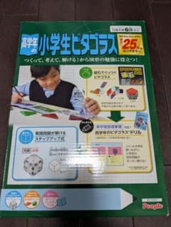 高学年の小学生ピタゴラス 知育玩具のサムネイル
