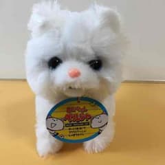 あかちゃんペルシャのサムネイル