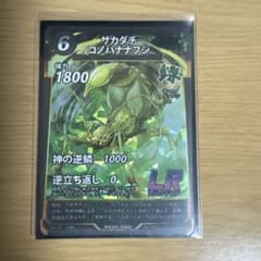 サカダチコノハナナフシのサムネイル