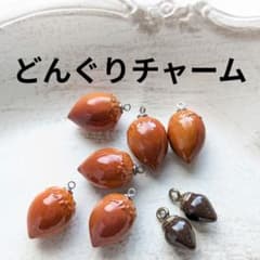 匿名配送】どんぐりアソート チャーム 8個 おまとめ割 - メルカリ