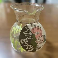 PYREX　トロピカル柄　昭和レトロ　超レア PYREX レンジどっくり、です！昭和レトロな品です。熱燗でも！冷酒でも