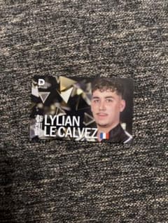 LYLIAN LE CALVEZ ダーツカード　ダーツ祭り　非売品 LYLIAN LE CALVEZ ダーツカード ダーツ祭り 非売品 - メルカリ