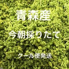 花山椒 200g 採りたてクール便発送 - メルカリ