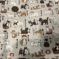 m74647570137_1.jpg?1728901374