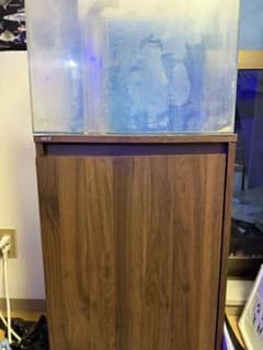 【まさおくん】オーバーフロー水槽 45cm アクリル水槽　水槽台　濾過層 まさおくん様専用】オーバーフロー水槽 45cm アクリル水槽 水槽台 濾過