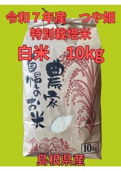 令和７年産 つや姫 特別栽培米 白米 10kg 島根県産のサムネイル