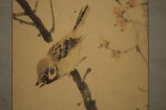 真作/備後福山生/羽田桂舟/紅梅雀図/布袋屋掛軸HI-680 真作/備後福山生/羽田桂舟/紅梅雀図/布袋屋掛軸HI-680 - メルカリ