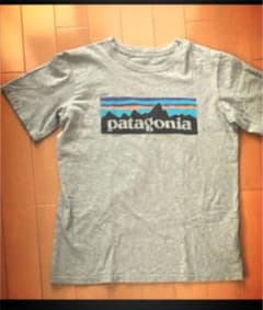 パタゴニアTシャツのサムネイル