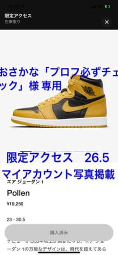 おさかな「プロフ必ずチェック」様専用　ナイキAJ1 HIGH OGのサムネイル