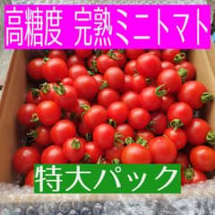 高糖度★完熟ミニトマト★大容量のサムネイル