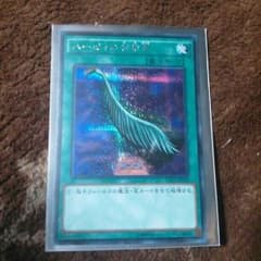 ハーピィの羽箒のサムネイル