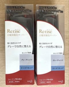 リライズ 白髪用髪色サーバーグレーアレンジまとまり仕上げ本体2箱