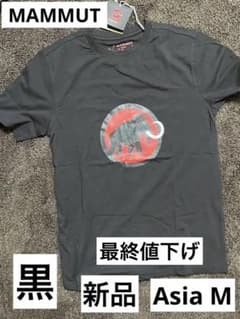 早い者勝ち！マムート　半袖　メンズ  S Mのサムネイル