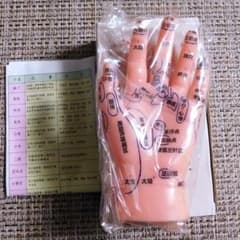 タ*キ様 左手模型 ツボ押し・マッサージ練習用 東洋医学 - メルカリ