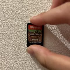 Minecraft & ReLuminant Nintendo Switchのサムネイル