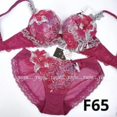 サルート 39G 店舗限定 アテナ 新品タグ付 P-upブラショーツF65 WI