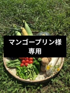 マンゴープリン様専用のサムネイル
