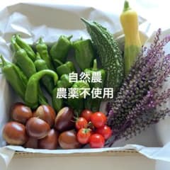 農薬不使用　夏野菜と栗　詰め合わせ　自然栽培のサムネイル