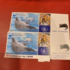 kariek様専用　新江ノ島水族館 チケット 1枚のサムネイル